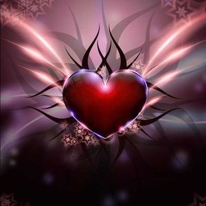 Meet your Posher, Tanja